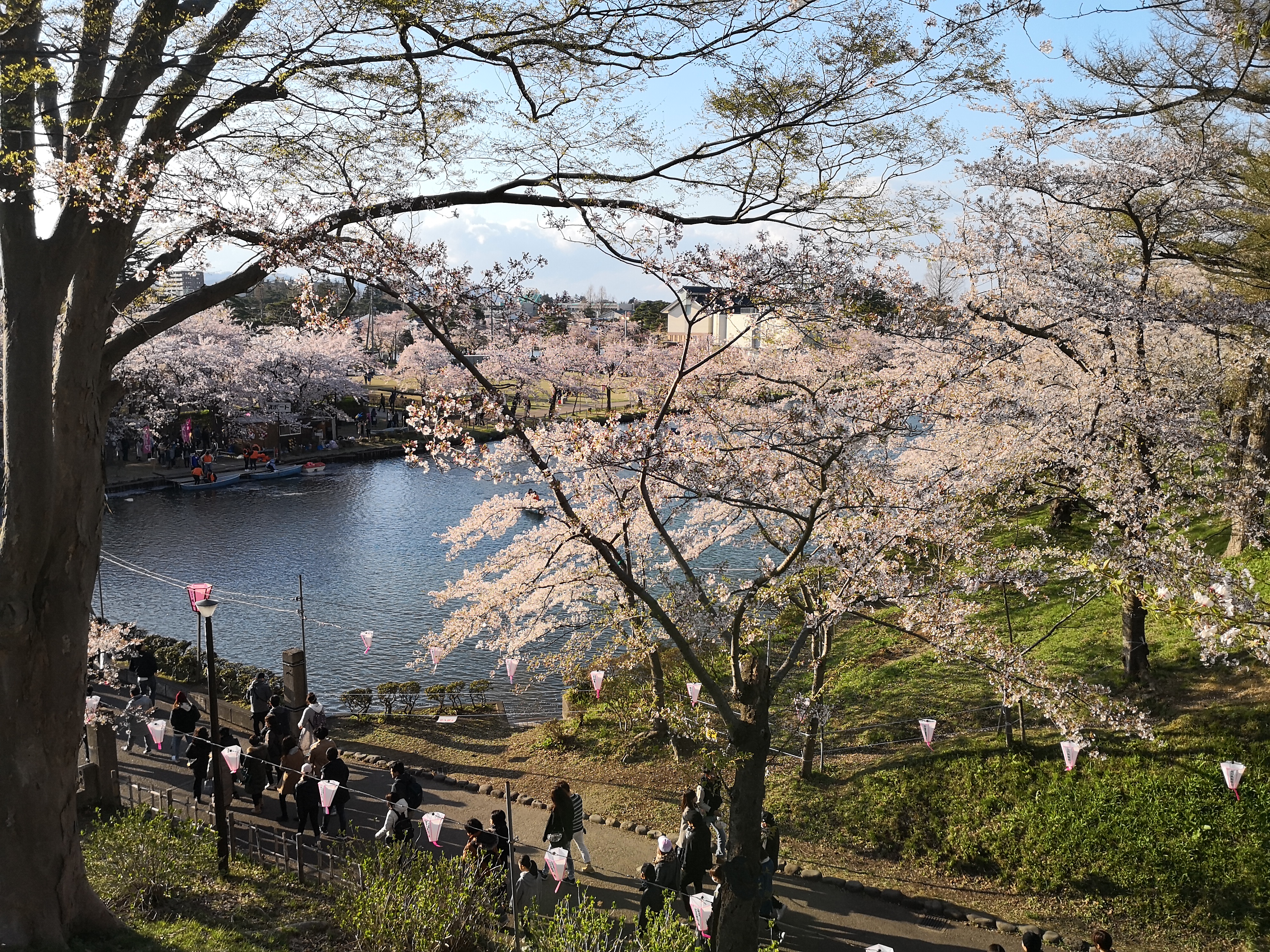 IMG_20180408_164717.jpg