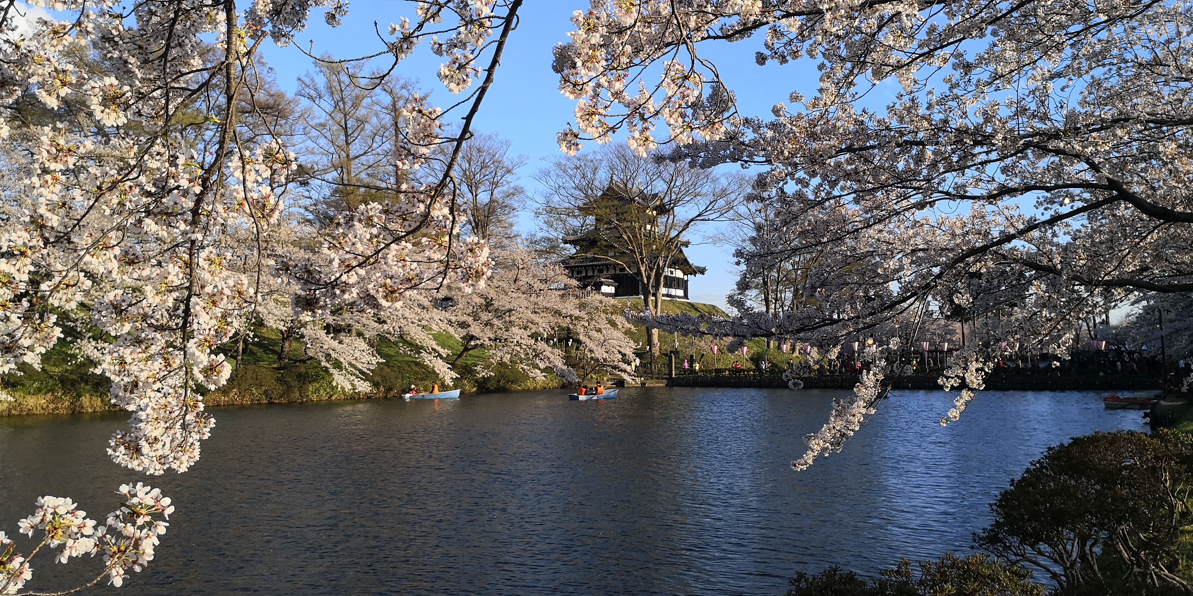 IMG_20180408_170335.jpg