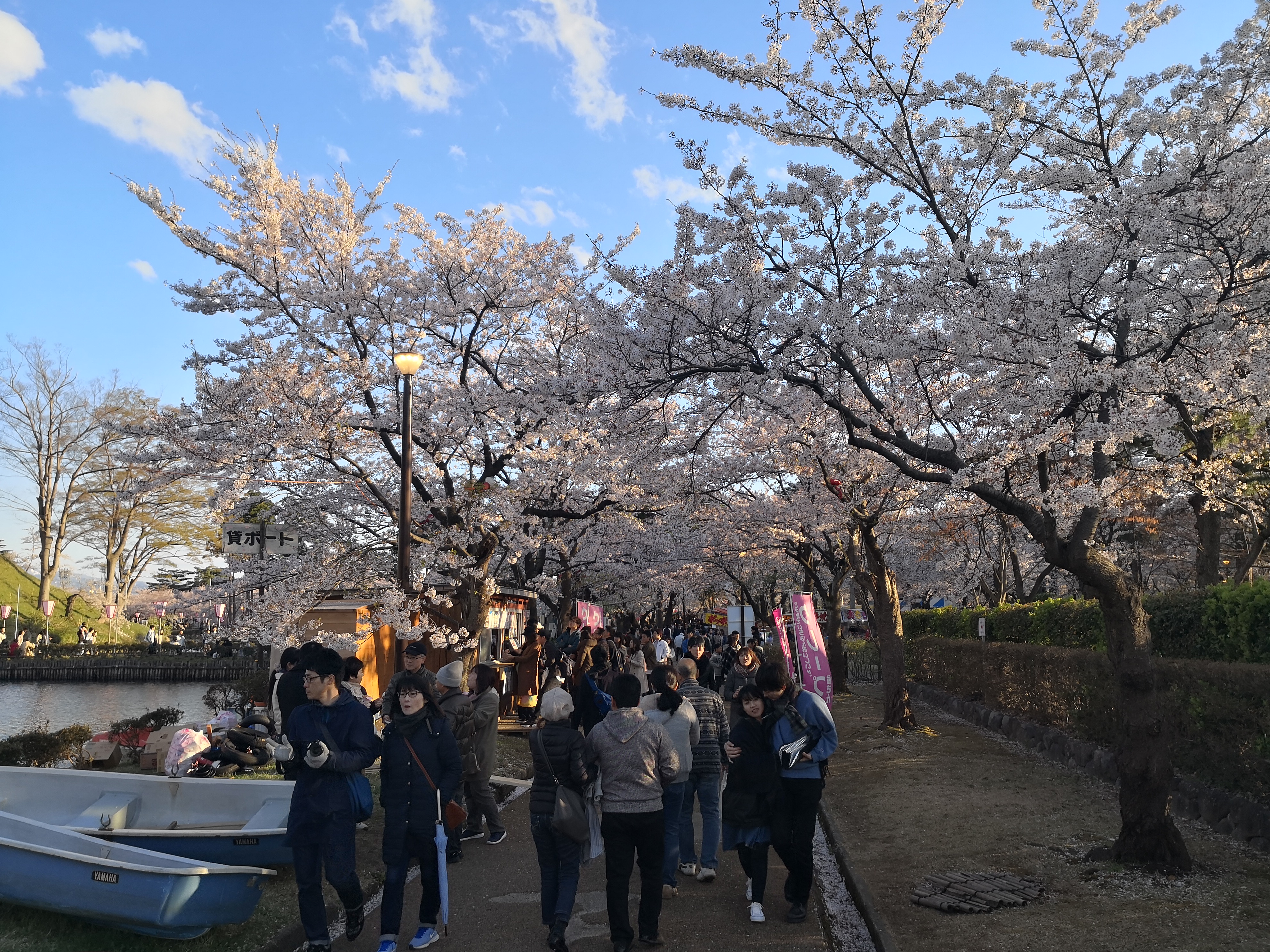 IMG_20180408_170703.jpg