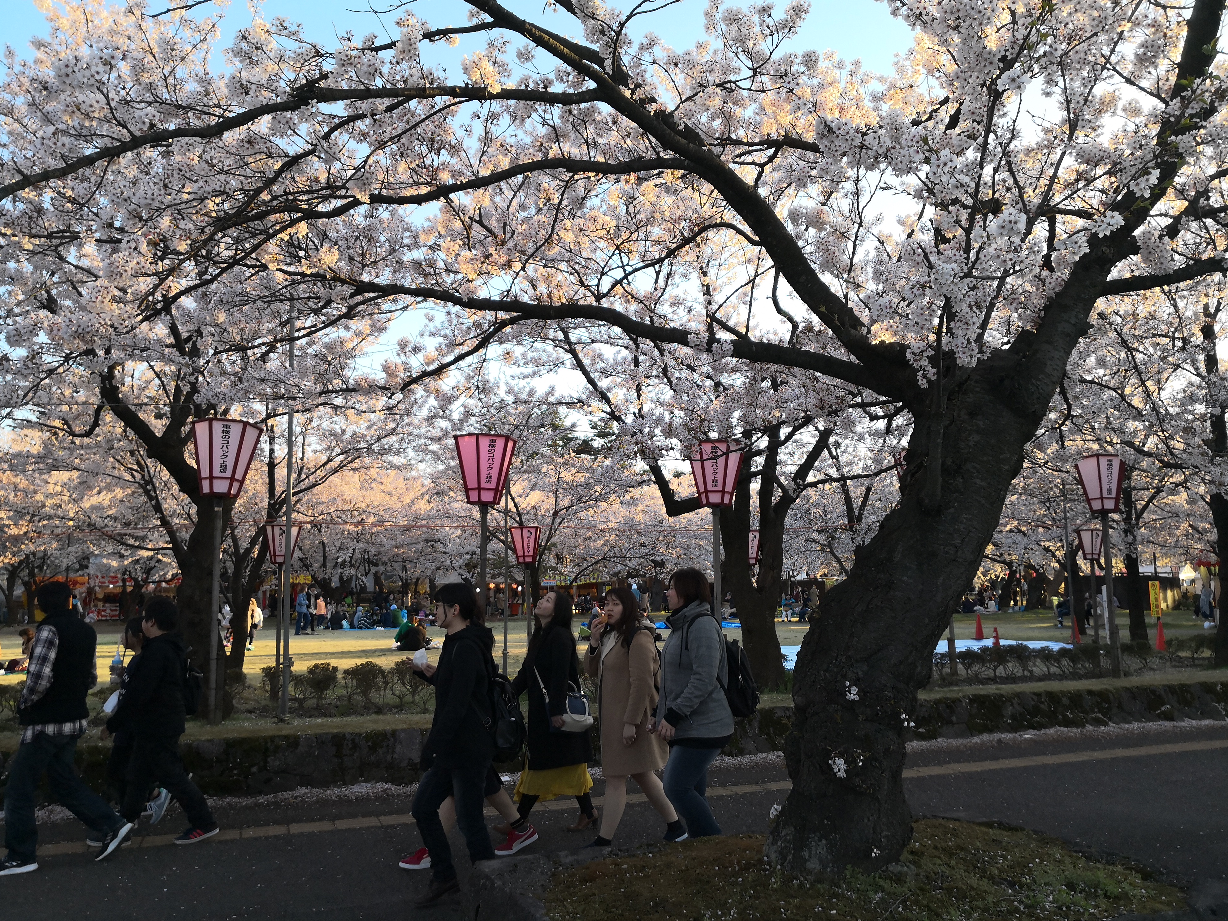 IMG_20180408_172727.jpg