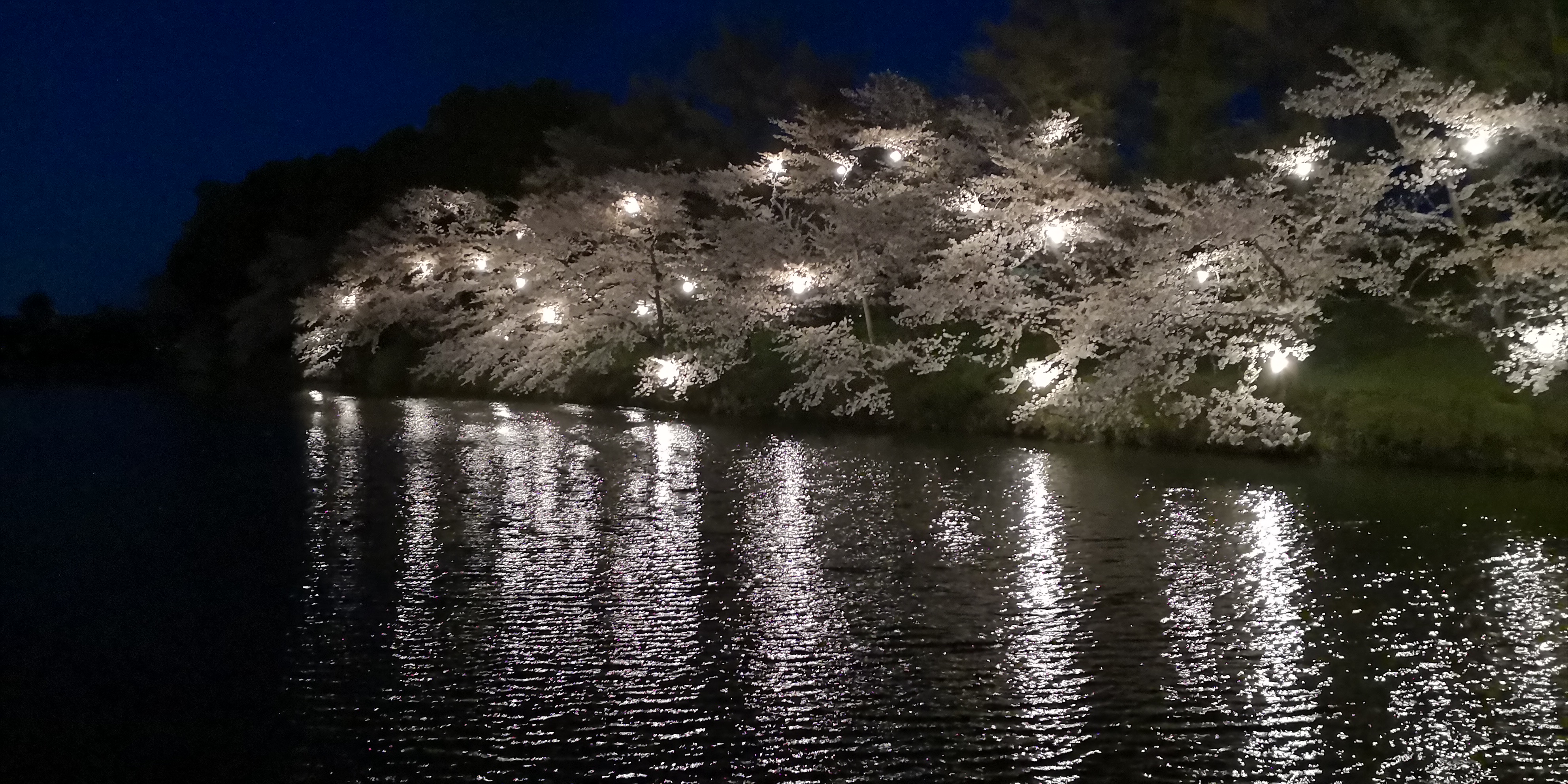 IMG_20180408_185727.jpg