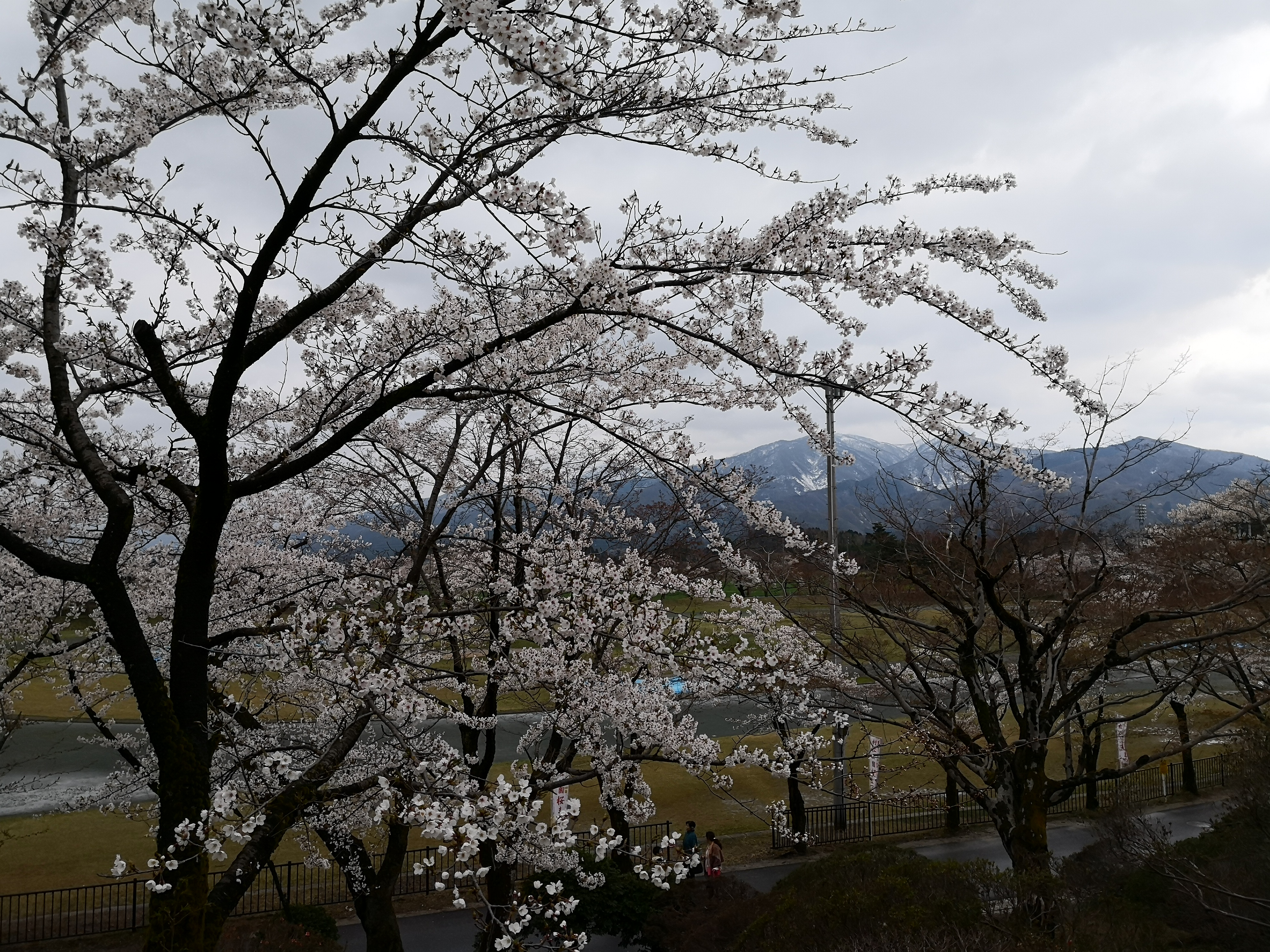 IMG_20180409_132740.jpg
