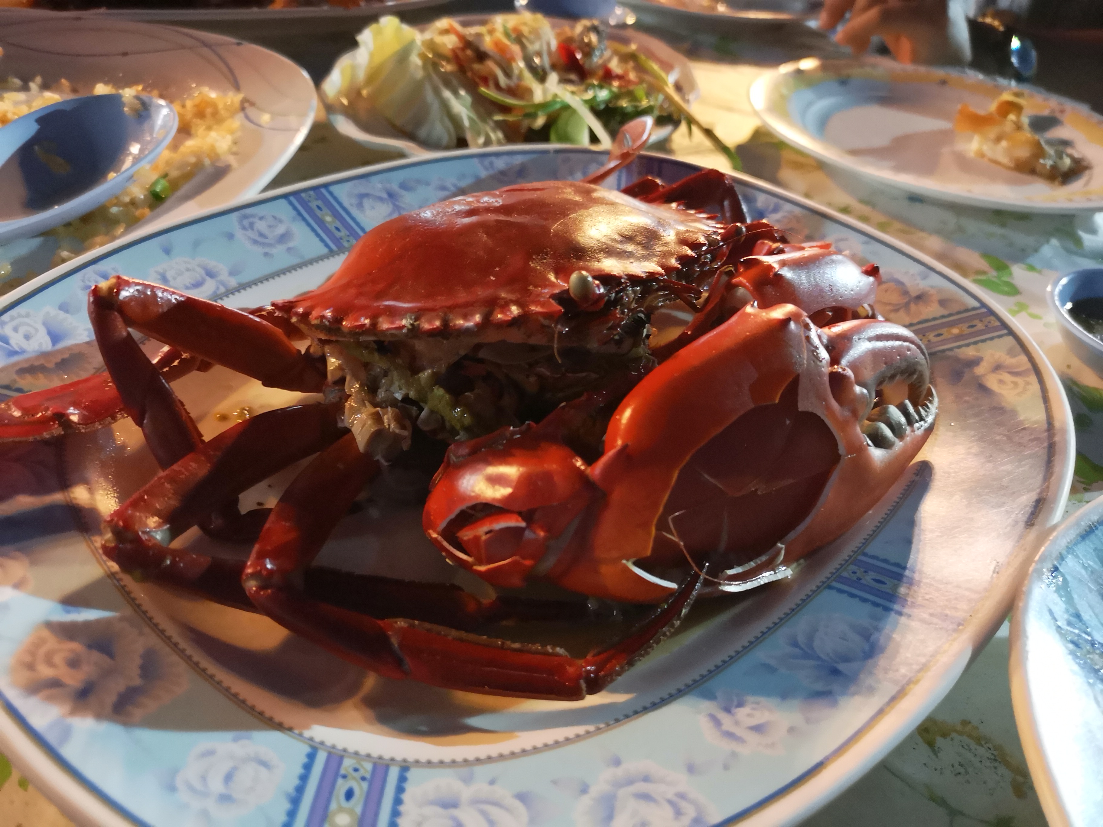 IMG_20180520_190518.jpg