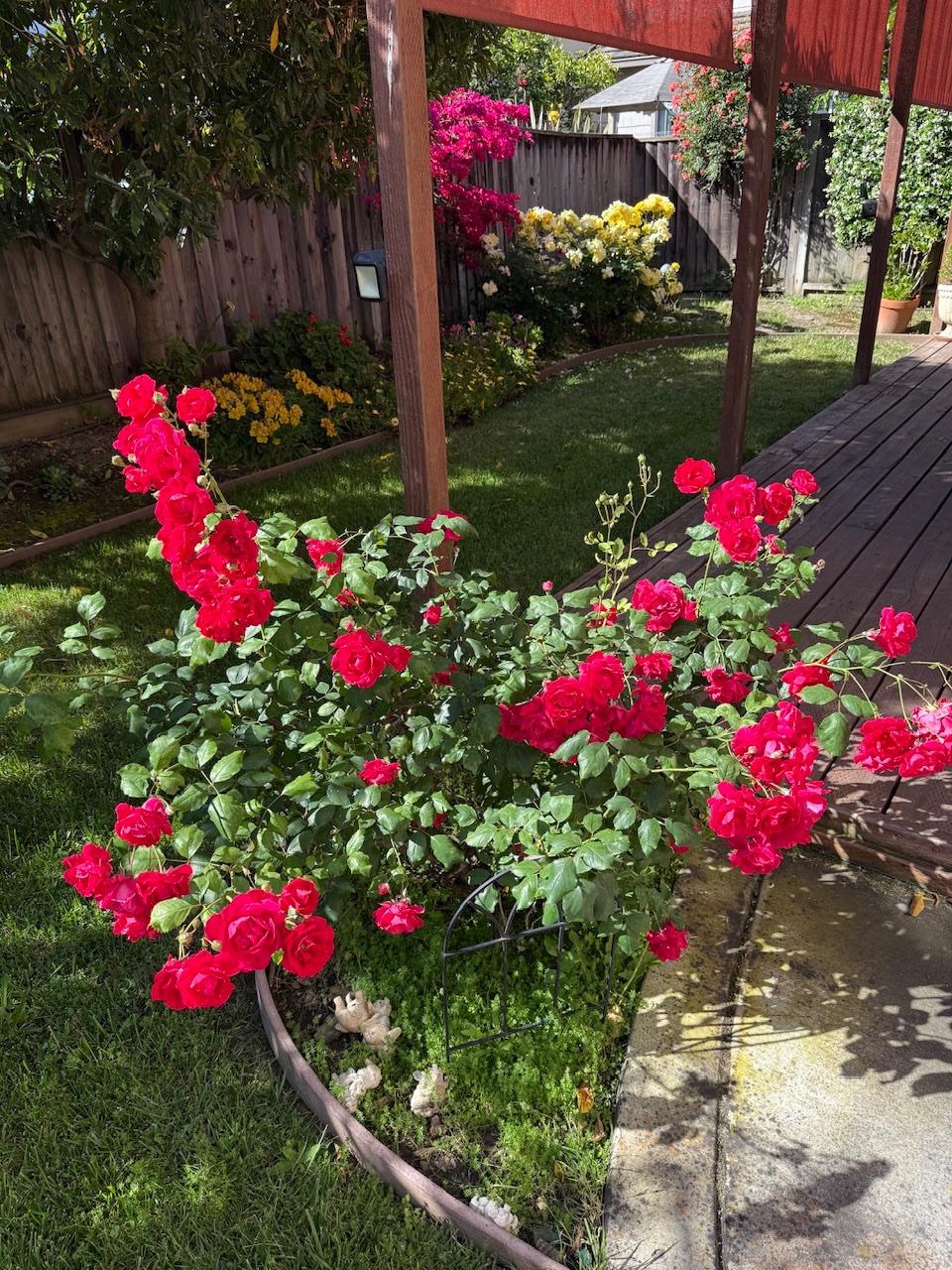 IMG_2199.jpeg