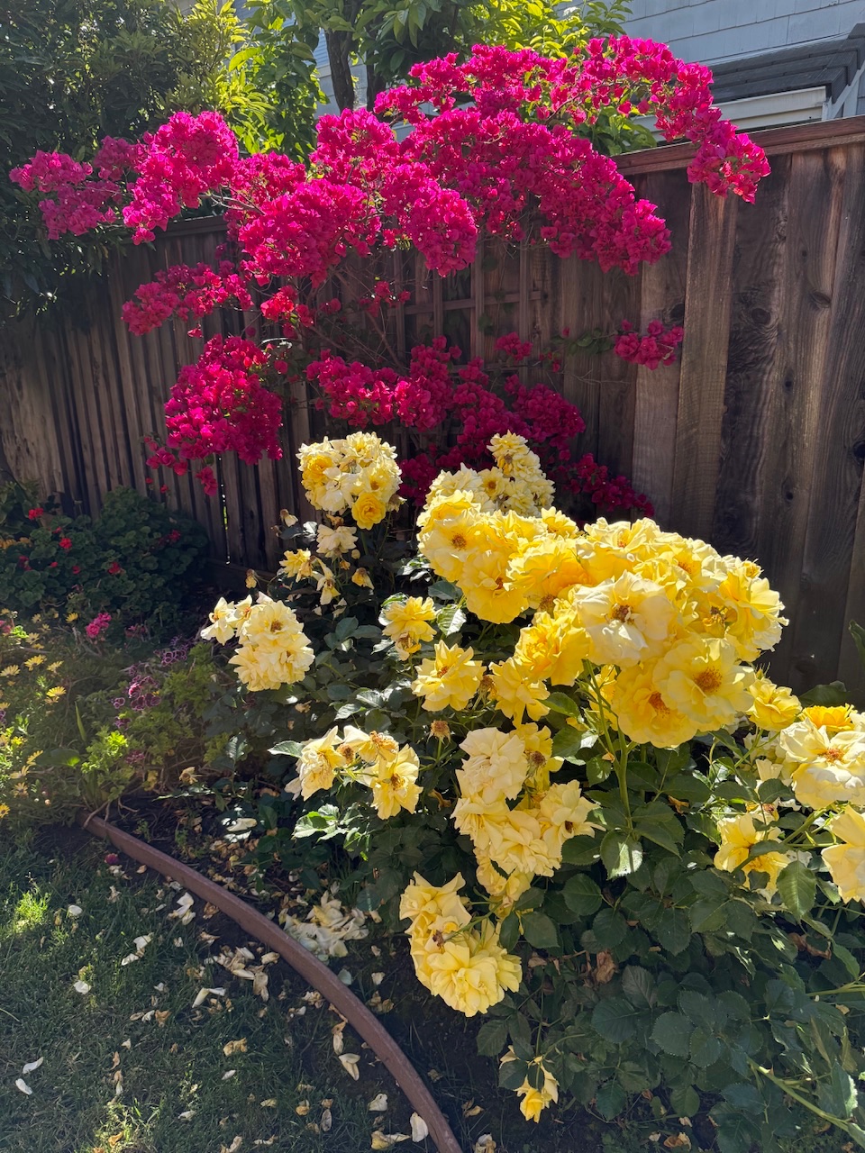 IMG_2201.jpeg