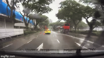 IMG_3532.GIF