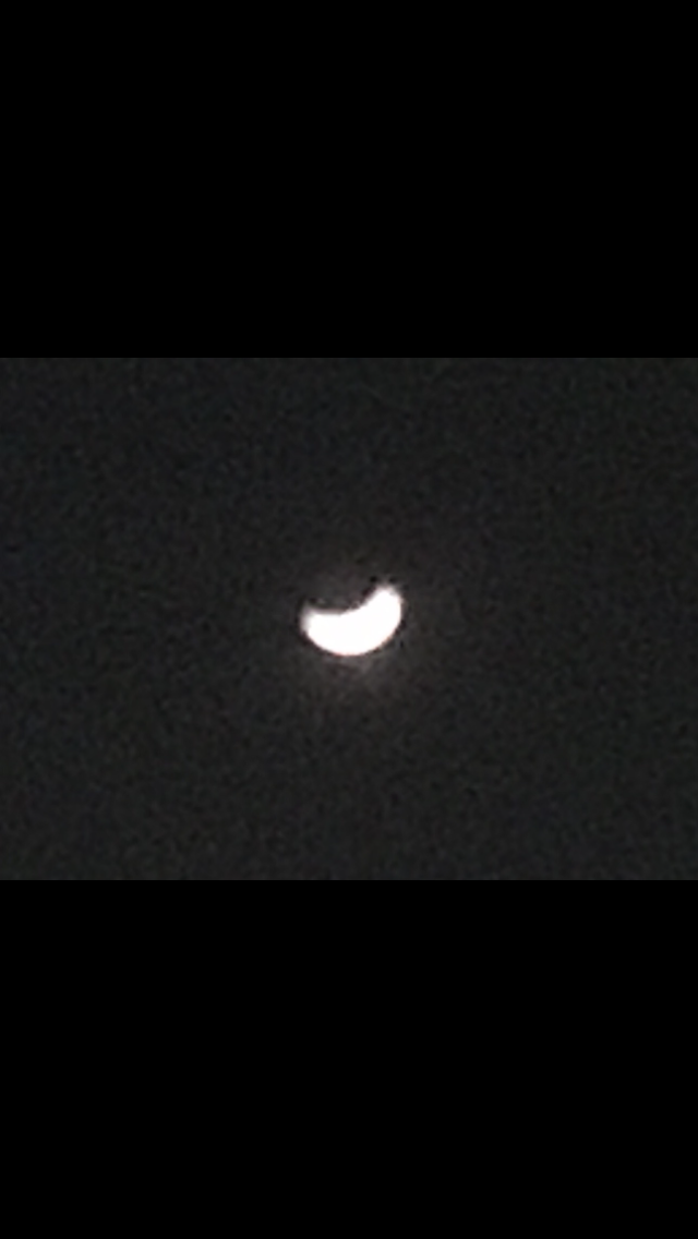 IMG_3813.PNG