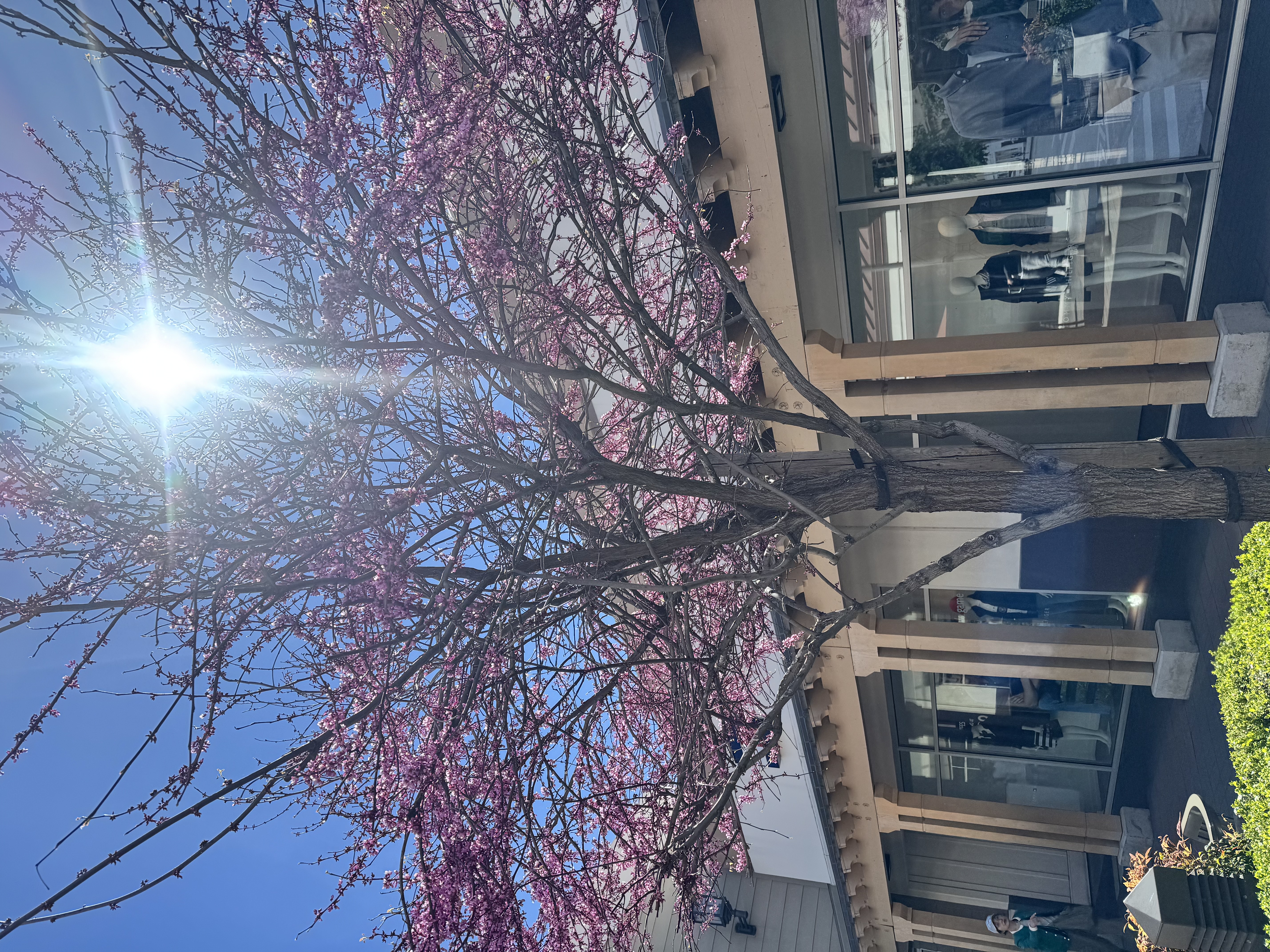 IMG_5937.jpeg