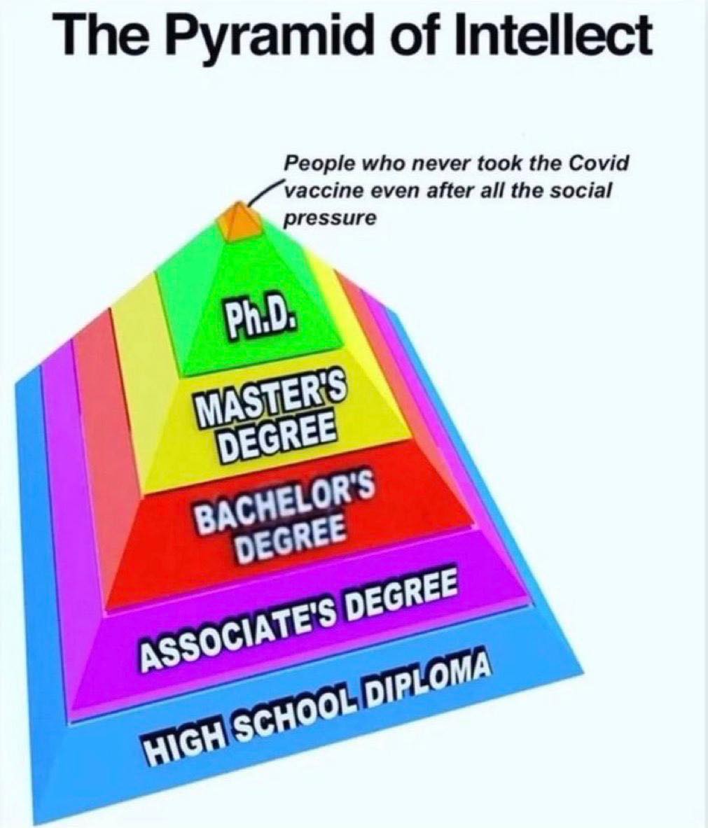 intellect.jpg