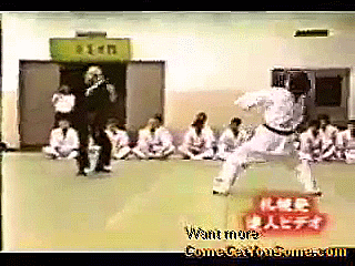 Kiai-Master-Pt.-1.gif