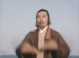 Kung Fu 01.gif