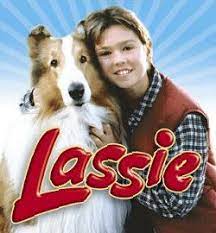 lassie.jpg