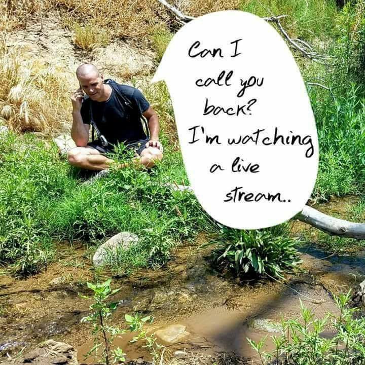 live stream.jpg