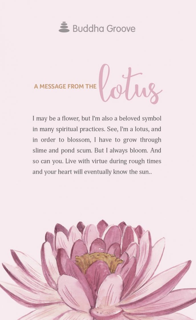 lotus-buddha-art-flower-stand-forlotus-for-what-does-the-best-meaning-687x1123.jpg