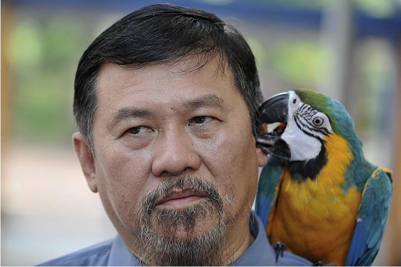 md-parrot-1811.jpg