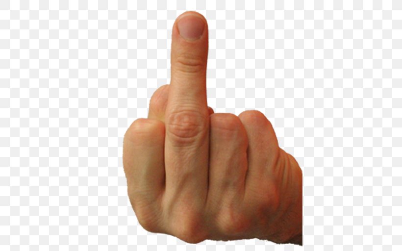 middle-finger-flip-the-bird-the-finger-sticker-ring-finger-png-favpng-n0ns405HFZhShARQP8M3U9XQW.jpg