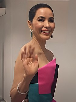Minutes_Before_Walk_of_Fame_at_The_Star_Awards_2017_-_Zoe_Tay.jpg