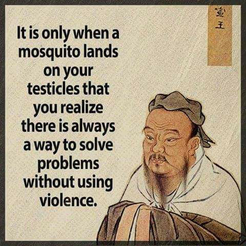 mosquitos.jpg