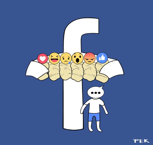mrs_facebook_and_her_seven_bastard_children__pete_kreiner.jpg