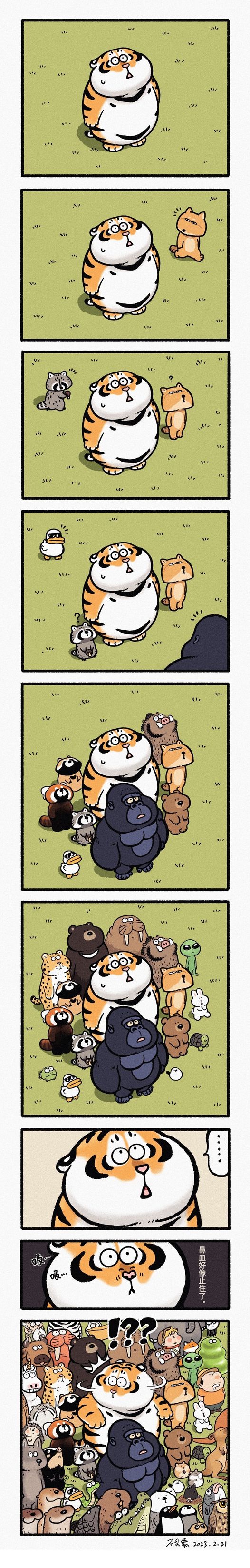 MSMD.jpg
