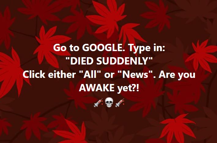 news.JPG