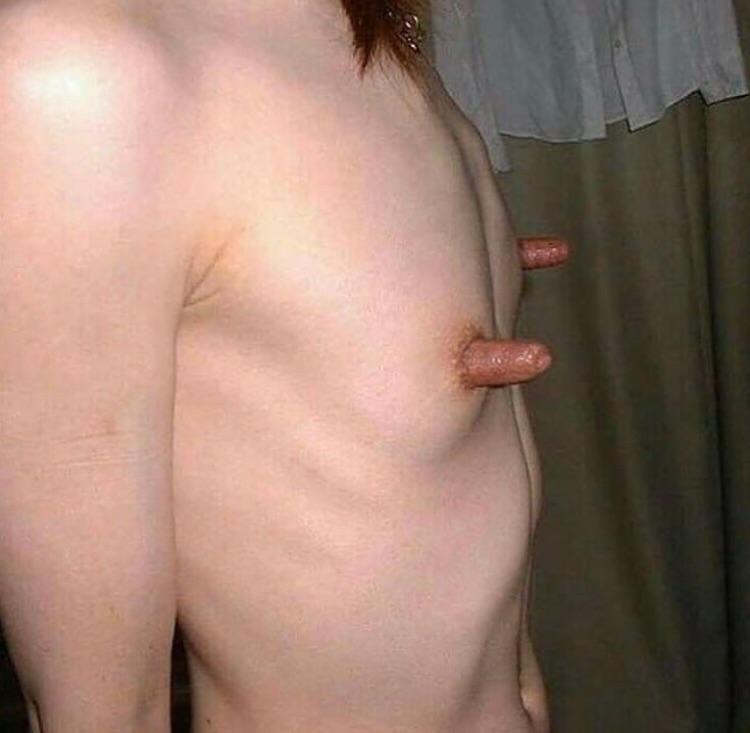 nokyfpecsya11.jpg