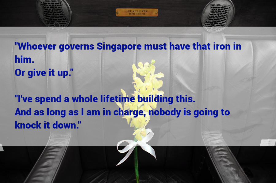 OrchidFlowerOccupiesLKYParliamentSeat03.png