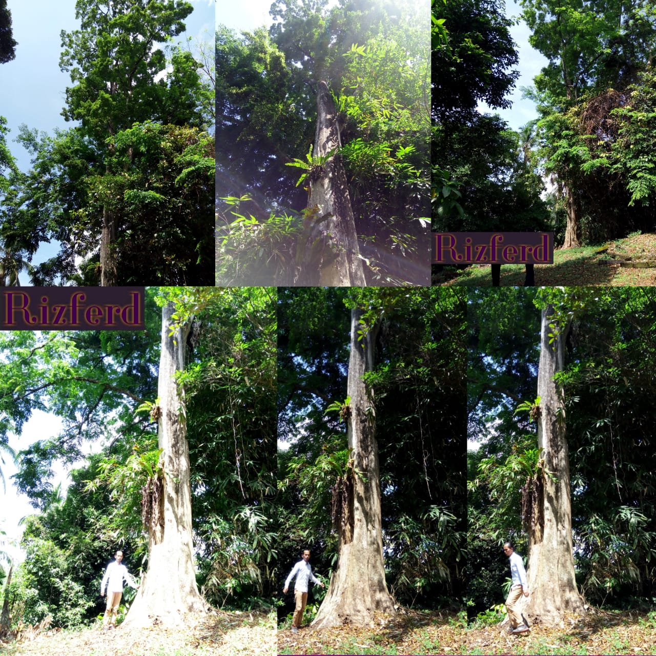 Our Oud Agarwood Gaharu.jpeg