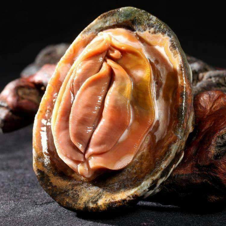 Oyster-min.jpg