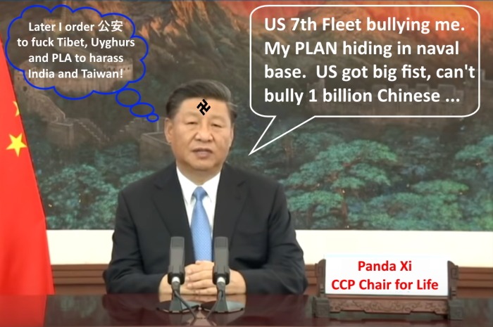 panda_xi_hypocrite_1.jpg