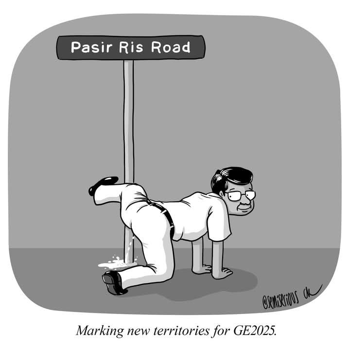 pap.jpg