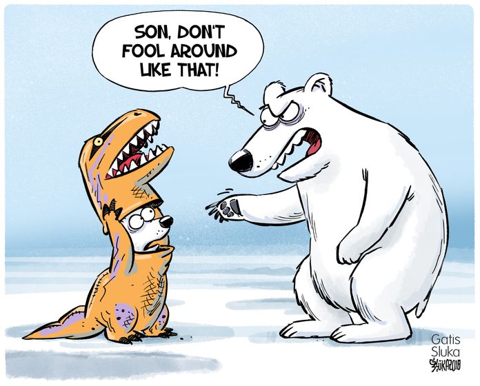 polar_bears_and_climate_change__gatis_sluka.jpg