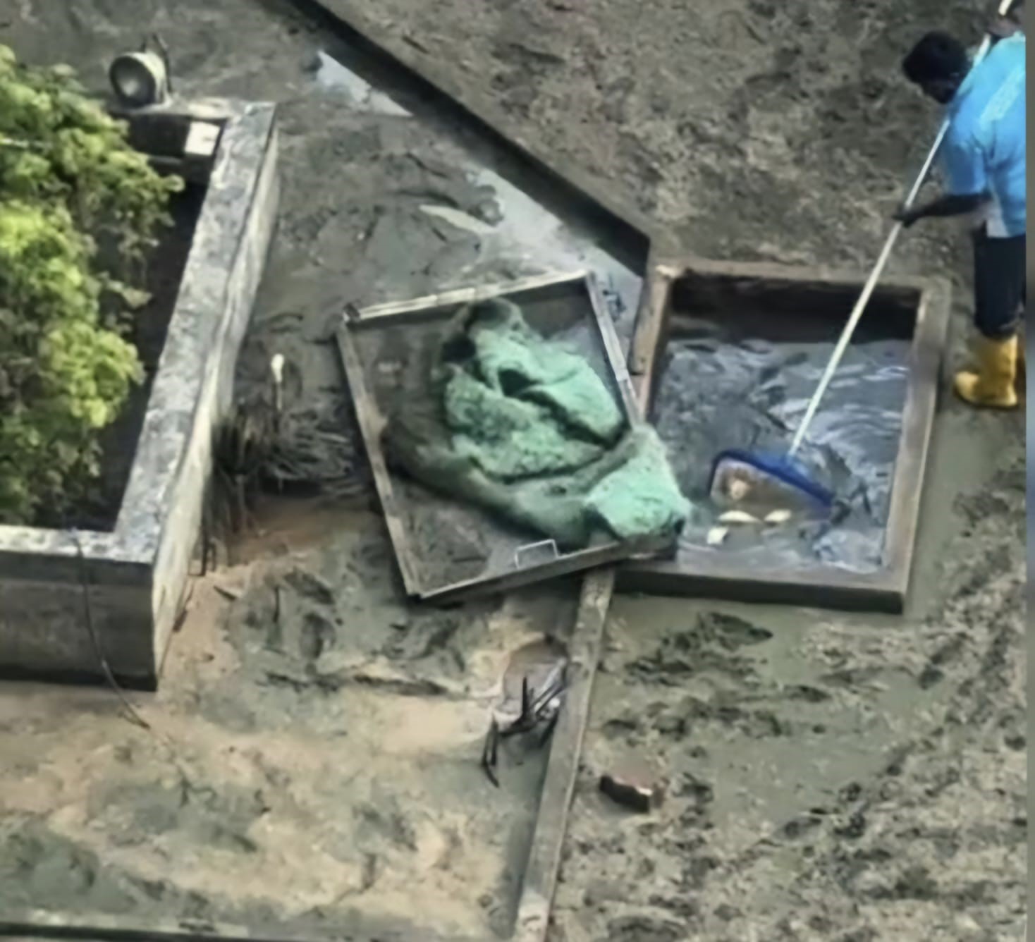 Pond.jpg