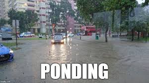 pond.jpg