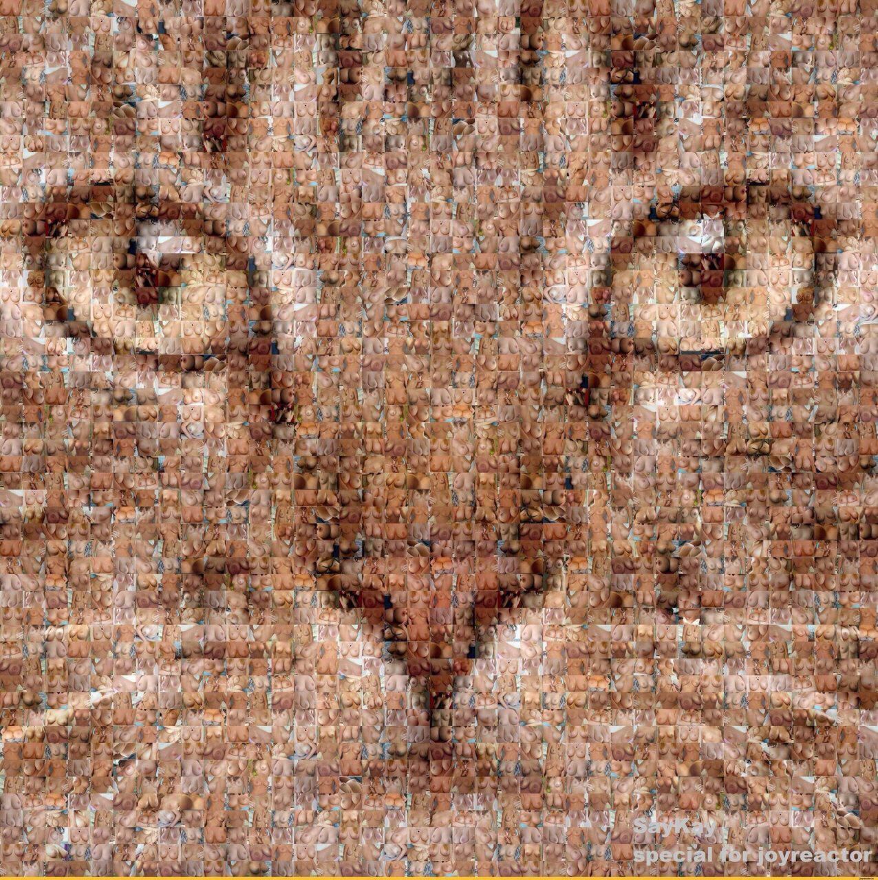 pussy of happiness.jpeg