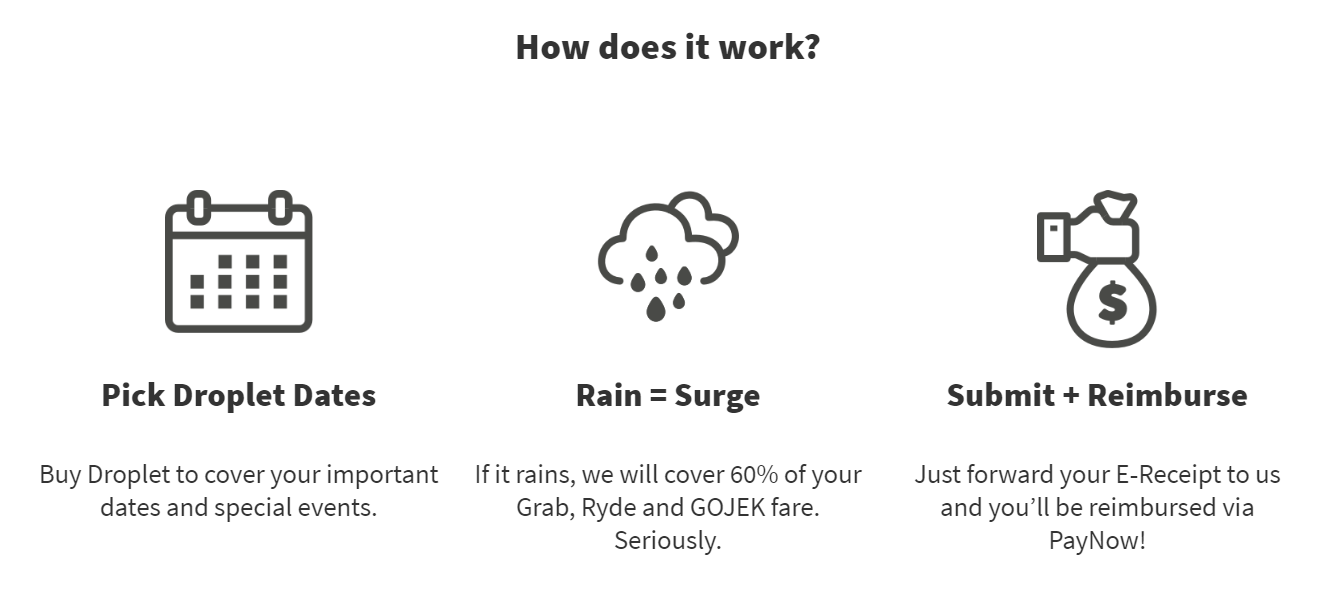 rain insurance.PNG