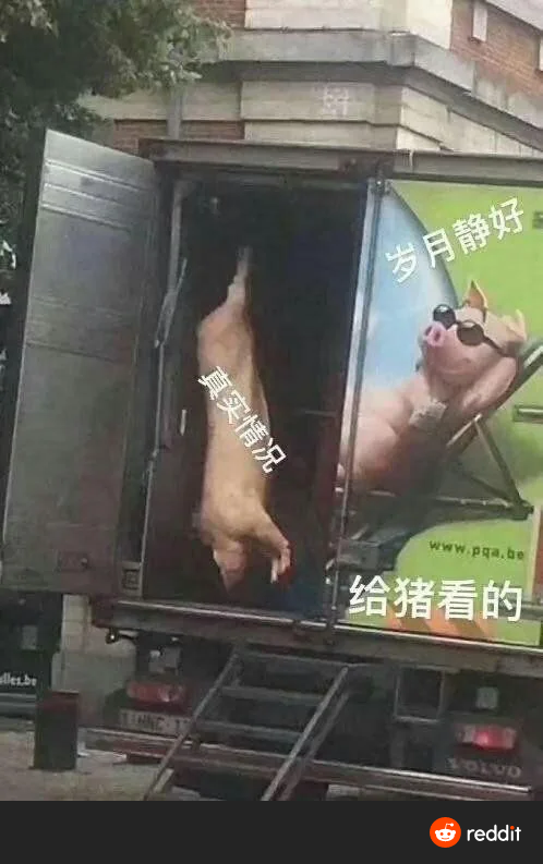 RDT_20230717_054544281039908589424820.png