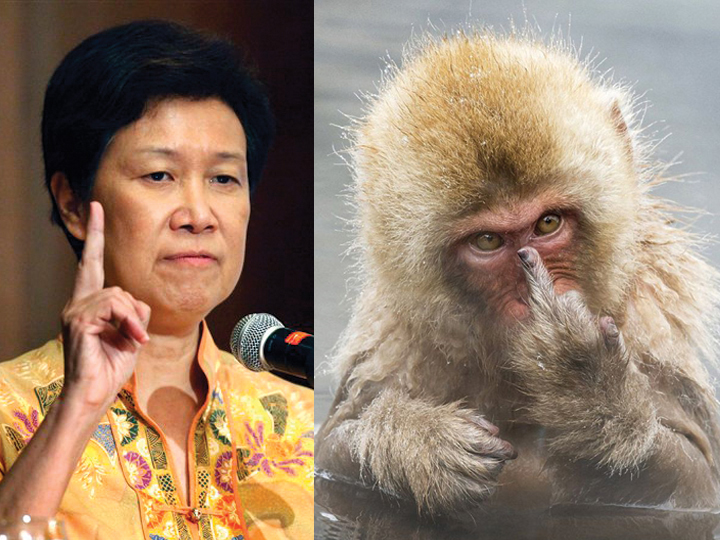 redwire-singapore-ho-ching-monkey.jpg
