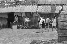sampan.jpg