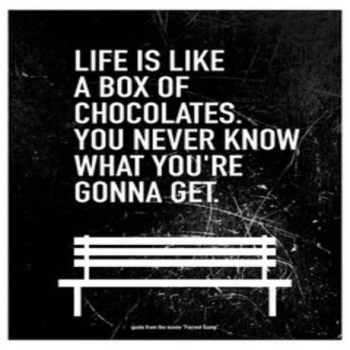 sbf life-is-like-a-box-of-chocolates-you-never-know-what-youre-going-to-get.jpg