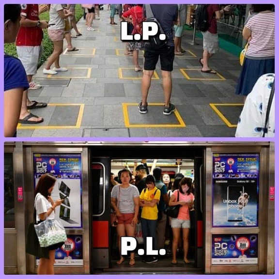 sbf lppl.jpeg