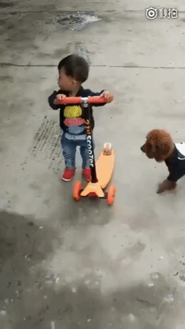 scooters-hoboken.gif