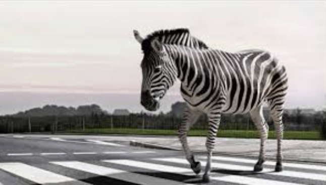 Screenshot 2025-10-30 at 16.54.14.png