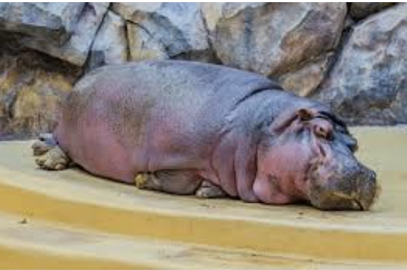 Screenshot 2026-02-13 at 16.34.44.png