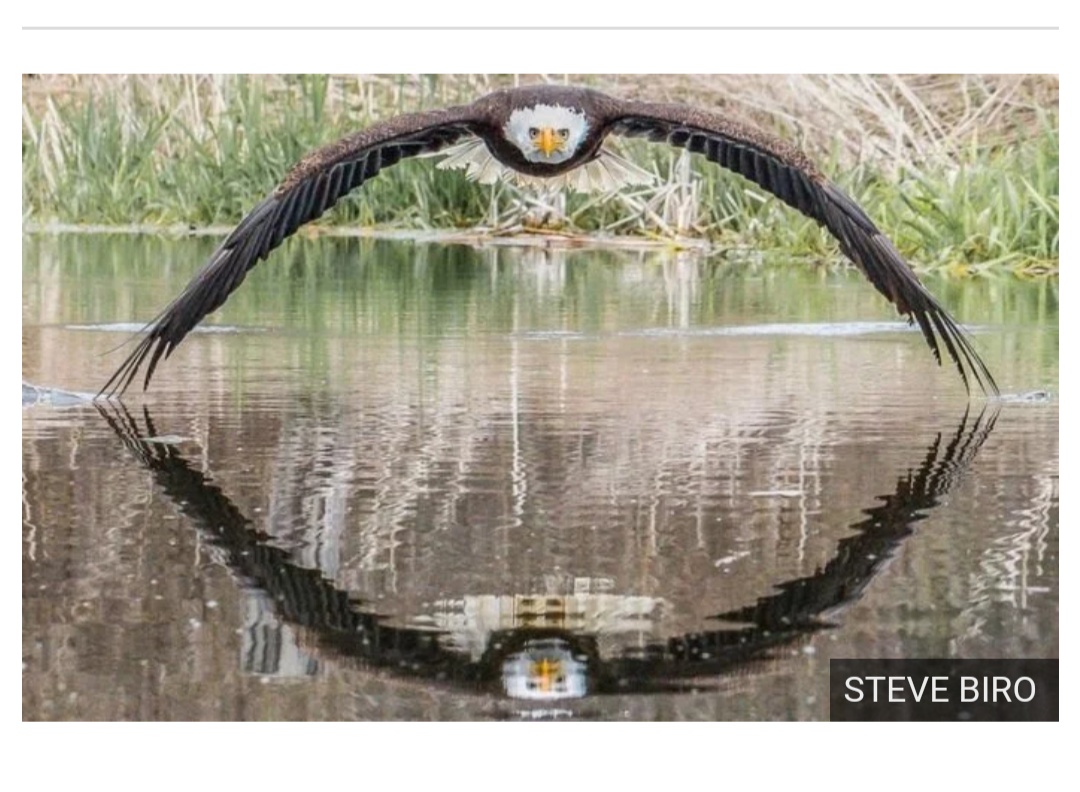 Screenshot_2019-05-29-11-05-07-587_com.android.chrome.jpg