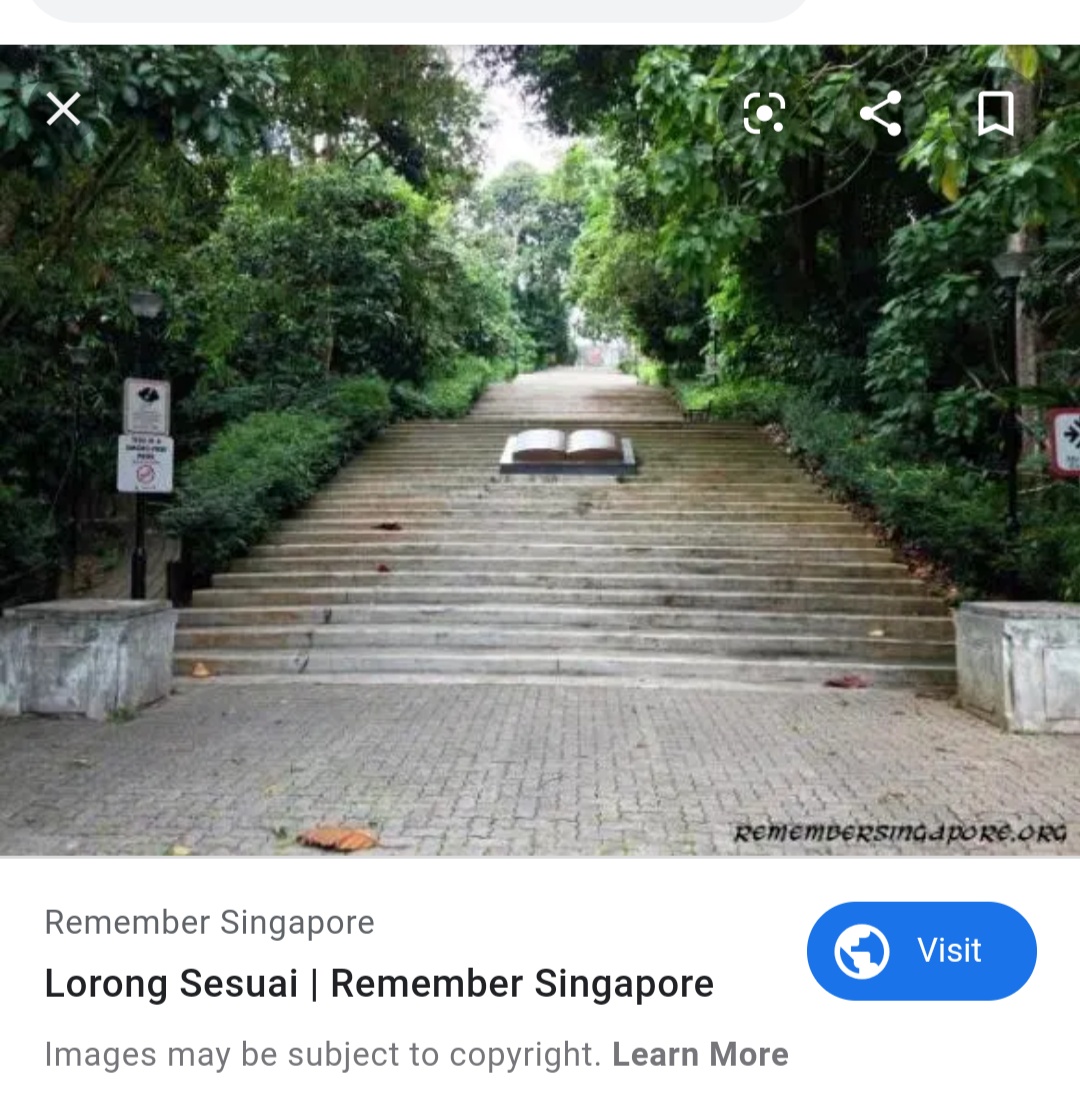 Screenshot_2019-11-16-02-04-15-720_com.android.chrome.jpg