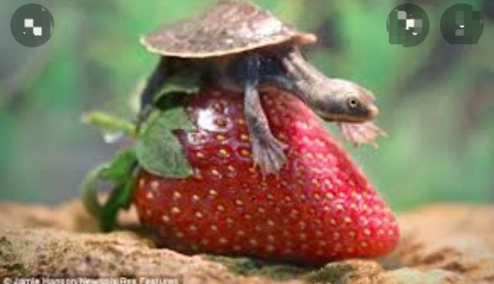 Screenshot_20220628-193437_Google.jpg