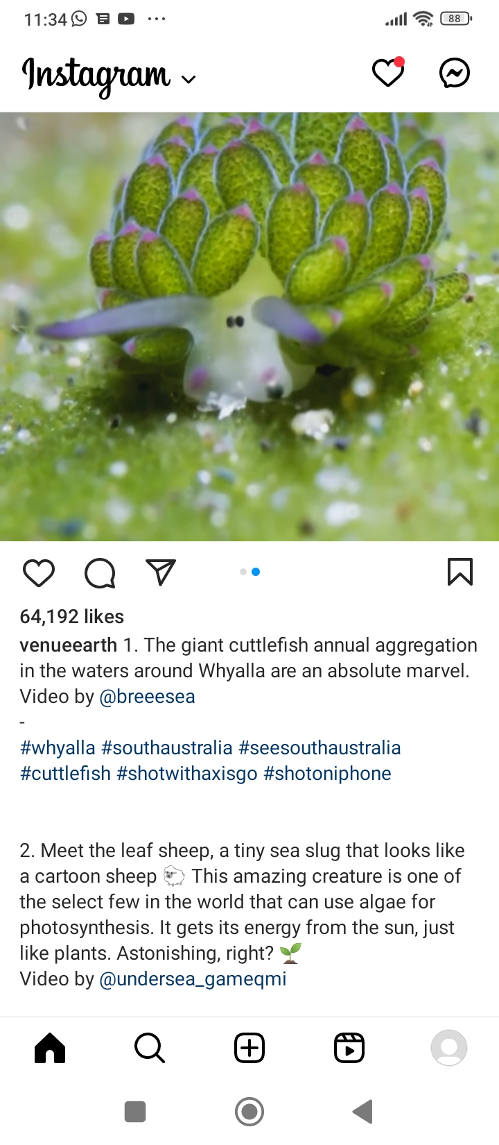 Screenshot_2023-10-22-11-34-17-134_com.instagram.android.jpg