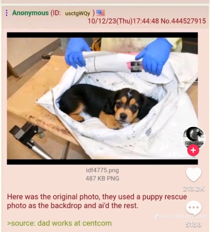 Screenshot_20231021_181433_TikTok.jpg