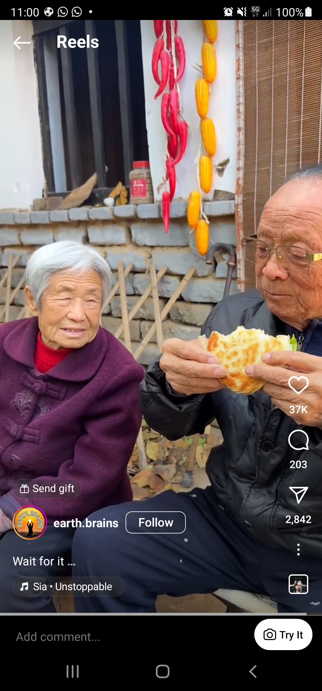 Screenshot_20231126-110011_Instagram.jpg